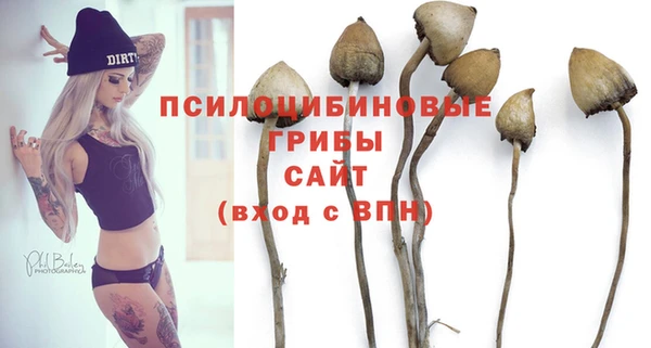 дживик Баксан