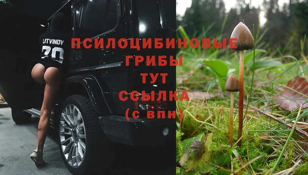 дживик Баксан